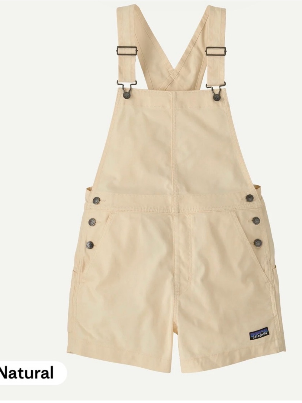 Patagonia Stand Up overalls